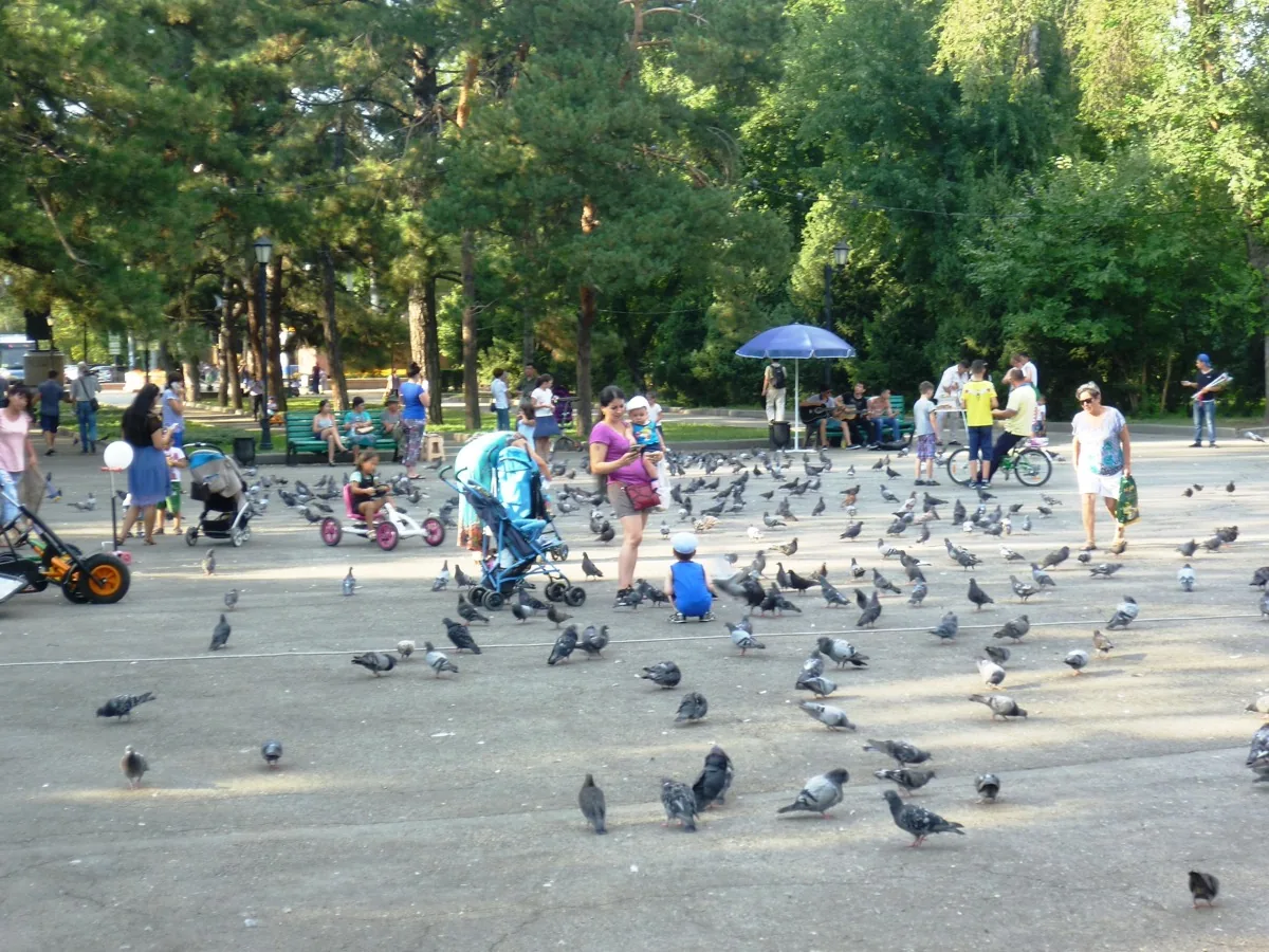 Panfilov Park 28