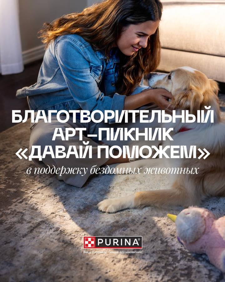 Благотворительный арт-пикник «Давай поможем» в поддержку животных