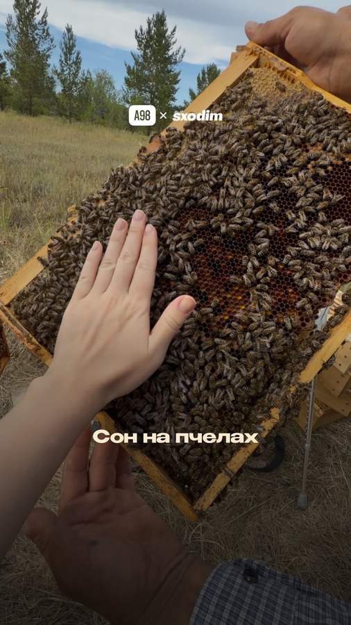 Необычная пасека в Акколе