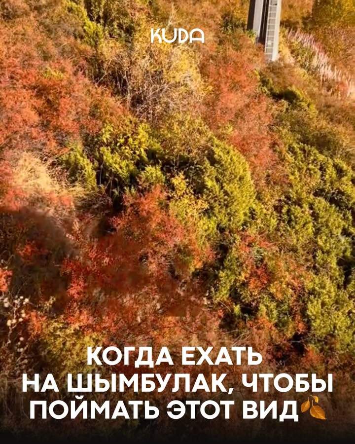 Шымбулак: кресельная канатка над осенним лесом