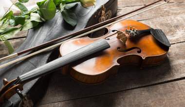 Violin. Four Seasons