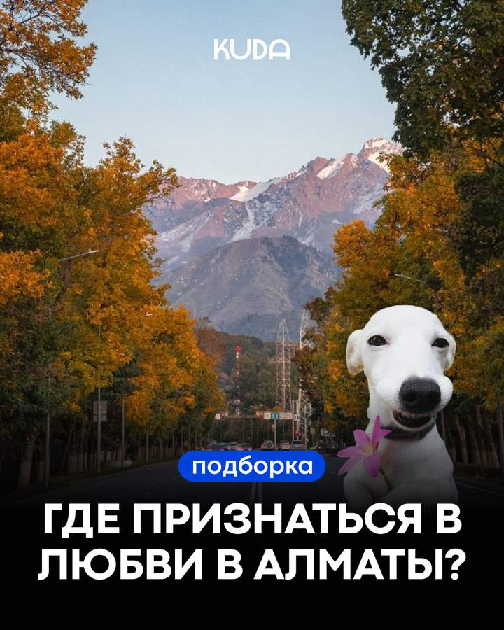 TASSO в Алматы