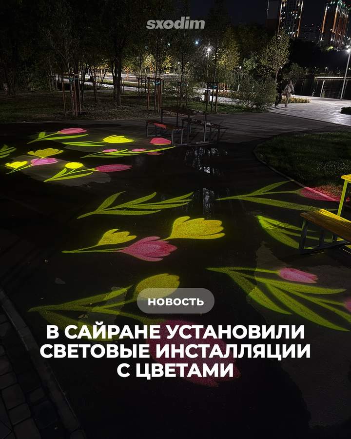 Light Projections in Sairam Park