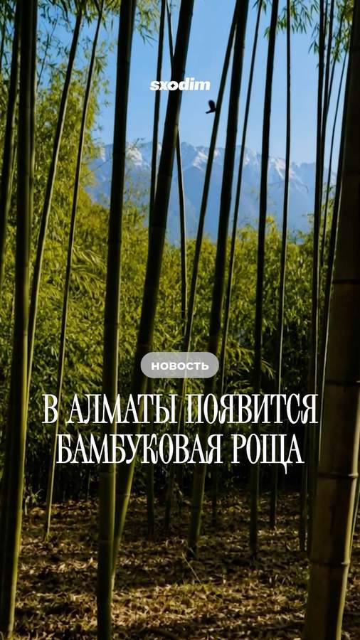 Благоустройство Бостандыкского района: новые парки и локации