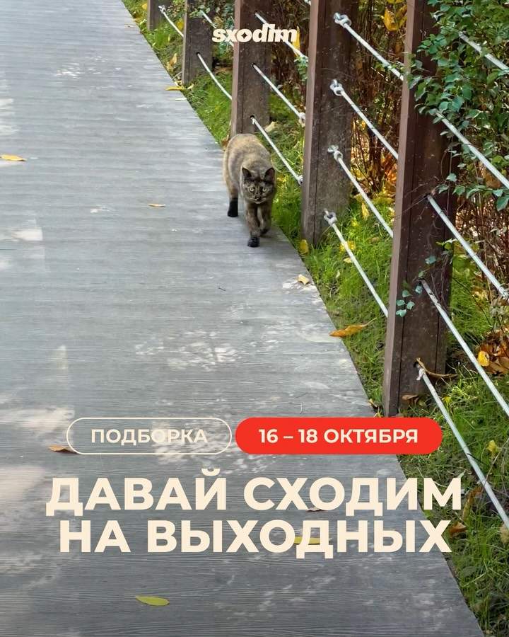 Выходные в Алматы: афиша событий