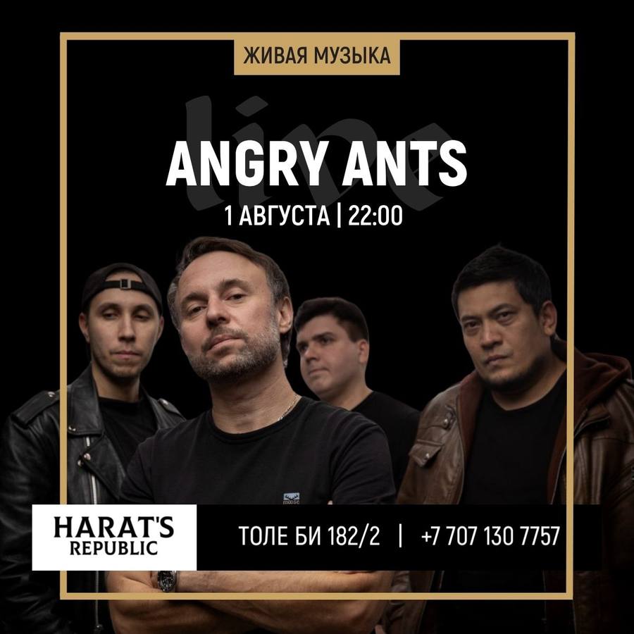 Живая музыка группа Angry Ants