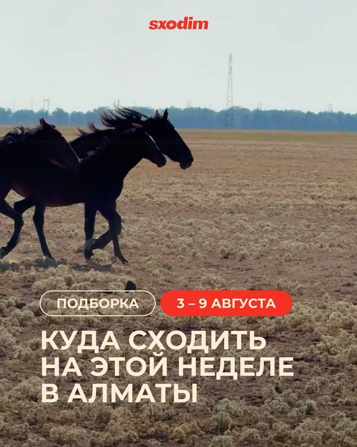 Концерты на неделю: Liili, Скриптонита и M'Dee в Алматы
