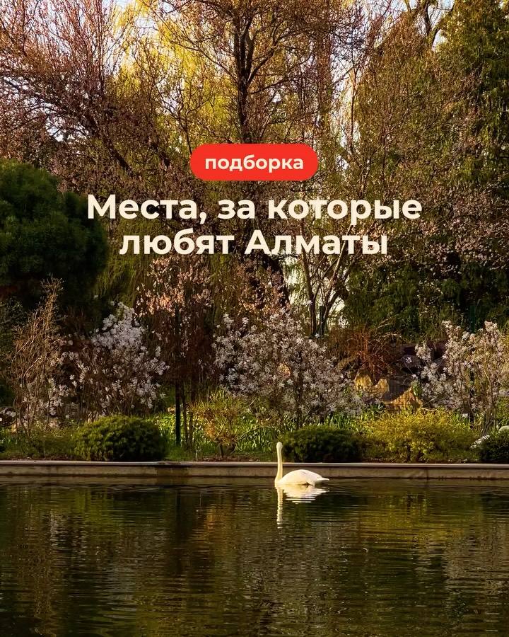 Опрос: любимые места Алматы
